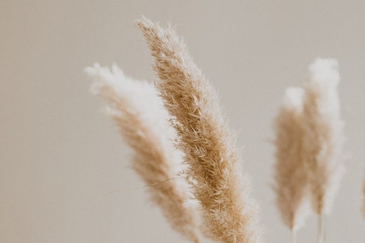 Geschützter Raum Geschützter Rahmen für Paartherapie und Beratung